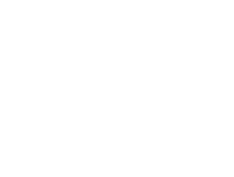 Prism AI Agency